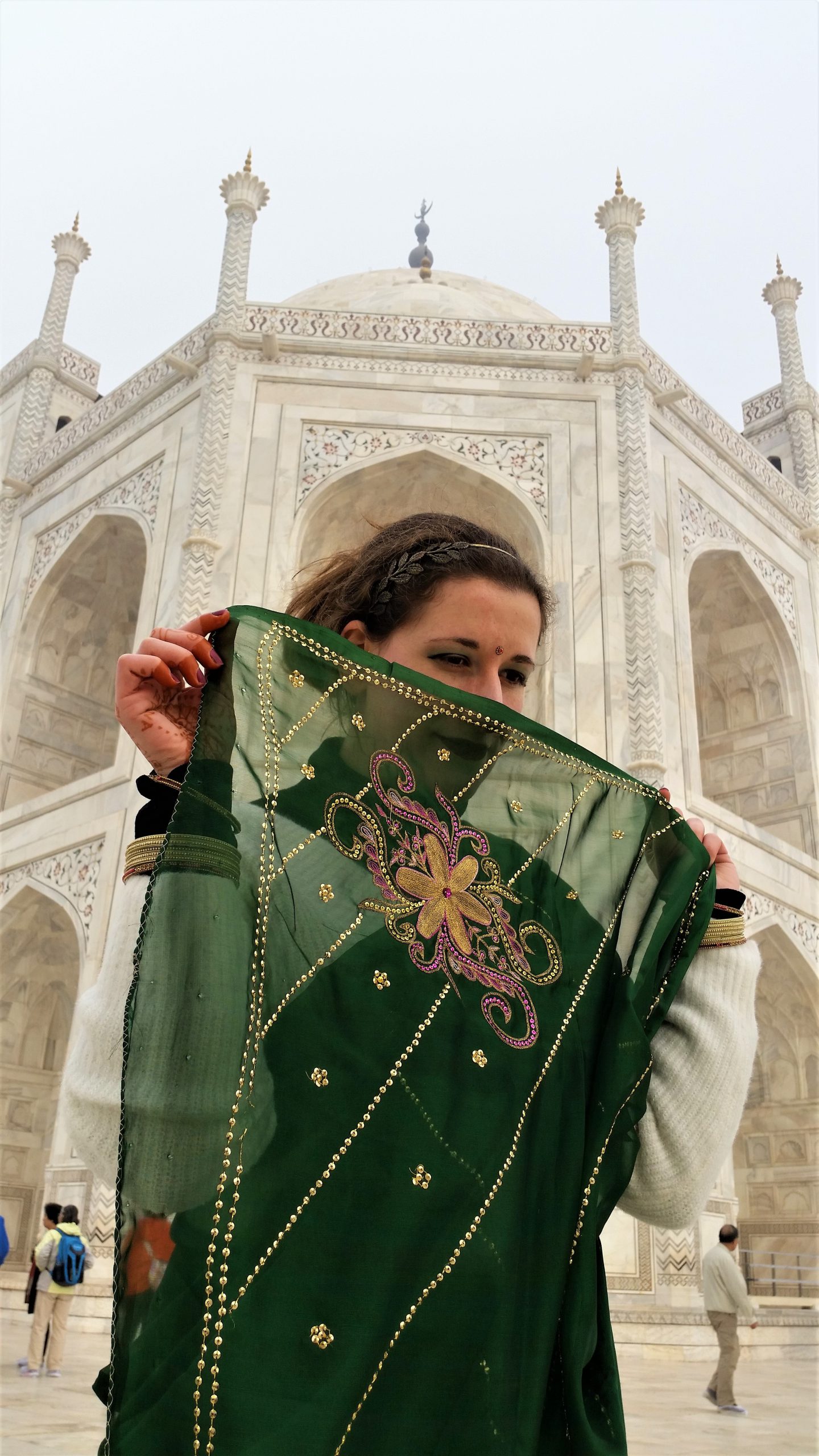golden green sari and a visit to Agra and the Taj Mahal
