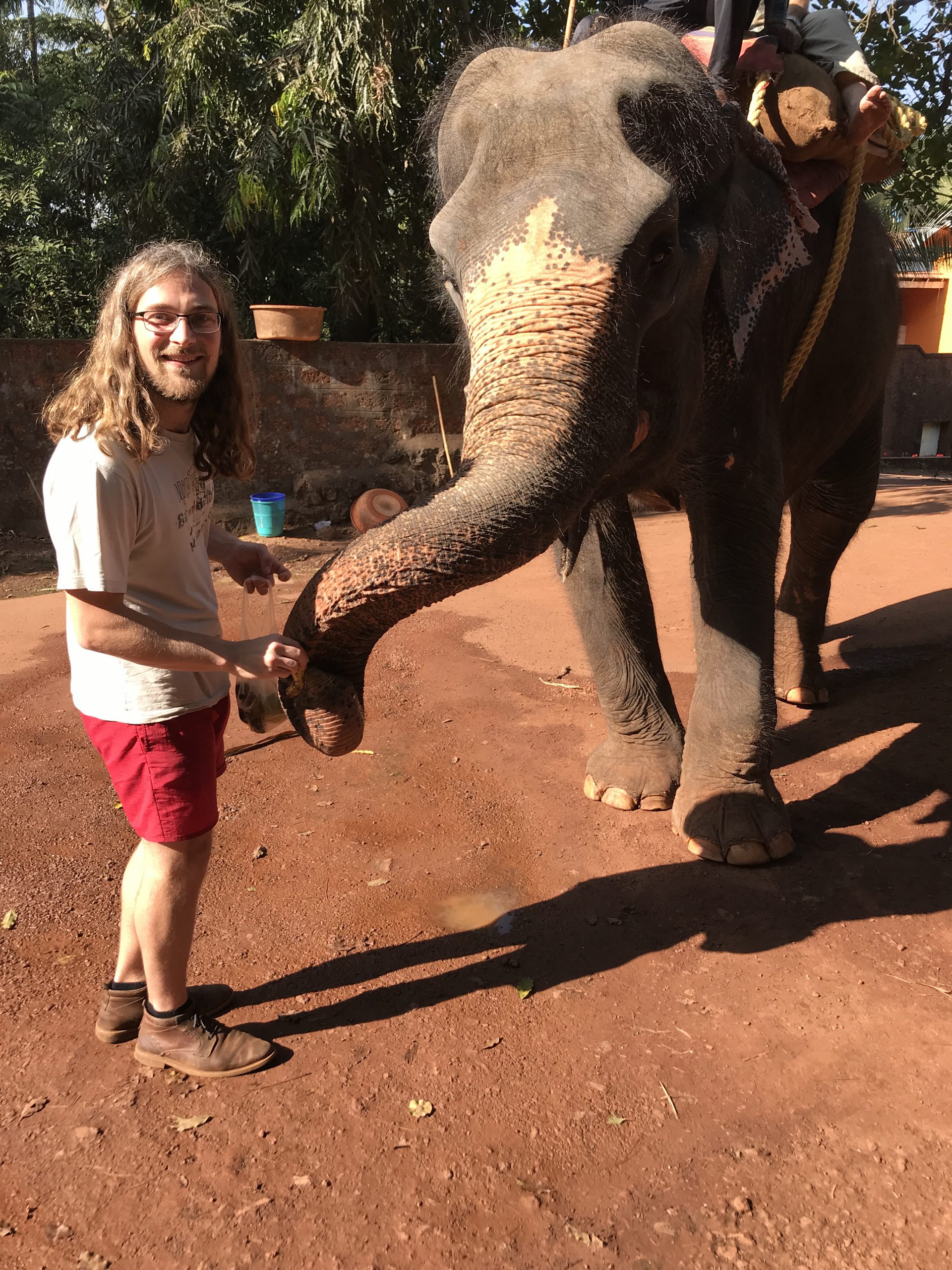 Felix feeding an elephant in Goa on NEw Year's eve