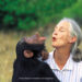 JaneGoodall_©Jane-Goodall-Institut_Michael_Neugebauer