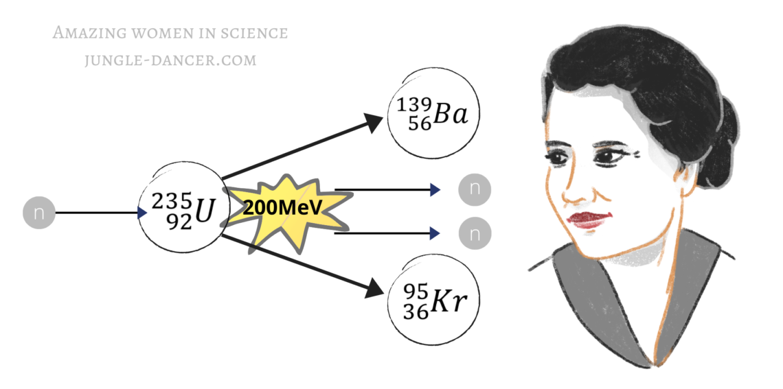 Lise Meitner and nuclear fission-cover photo